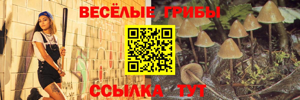 Галлюциногенные грибы GOLDEN TEACHER  Вход с VPN  Псилоцибиновые грибы мицелий  Кисловодск 
